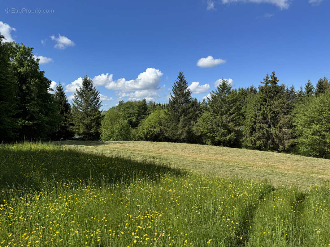 Terrain à LORMES