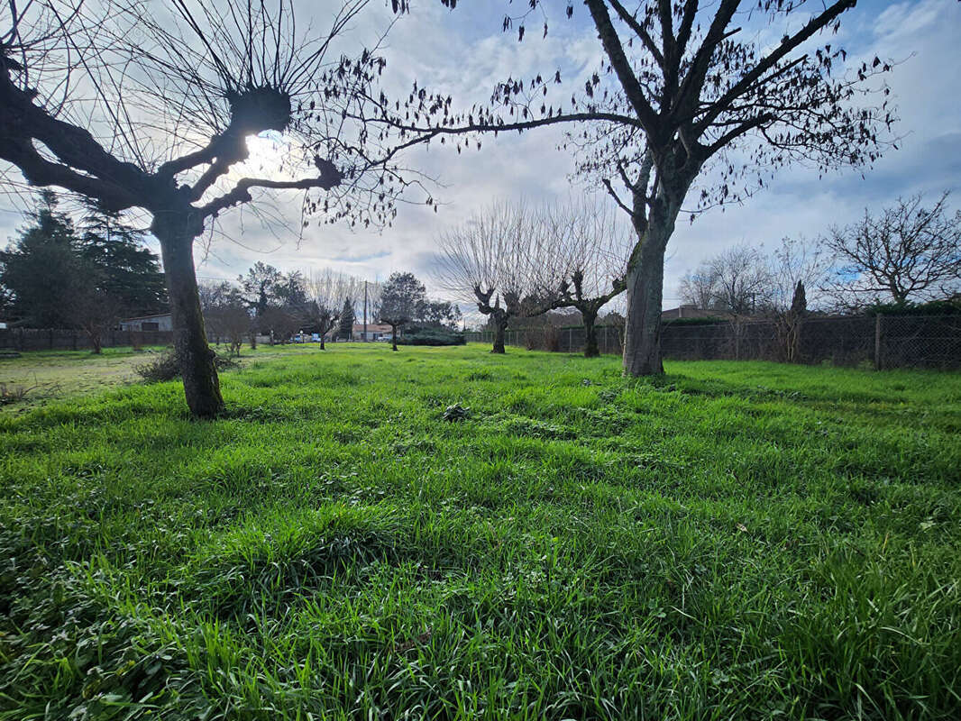 Maison à SAINT-ANDRE-DE-CUBZAC