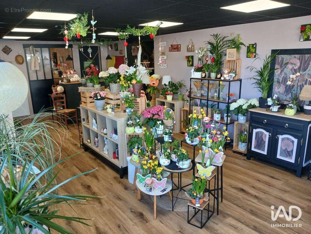 Commerce 156 m² à Saint-Sauveur-Lendelin  - photo 3