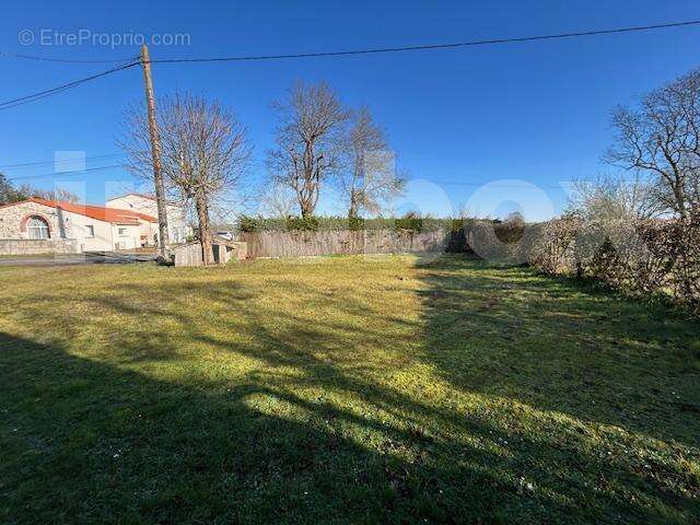 IMG_7883 (002) - Maison à LANDEMONT