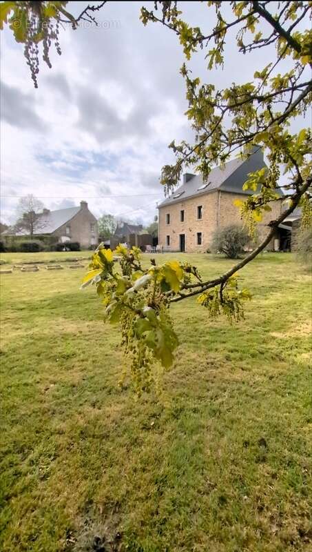Maison à MESLAN