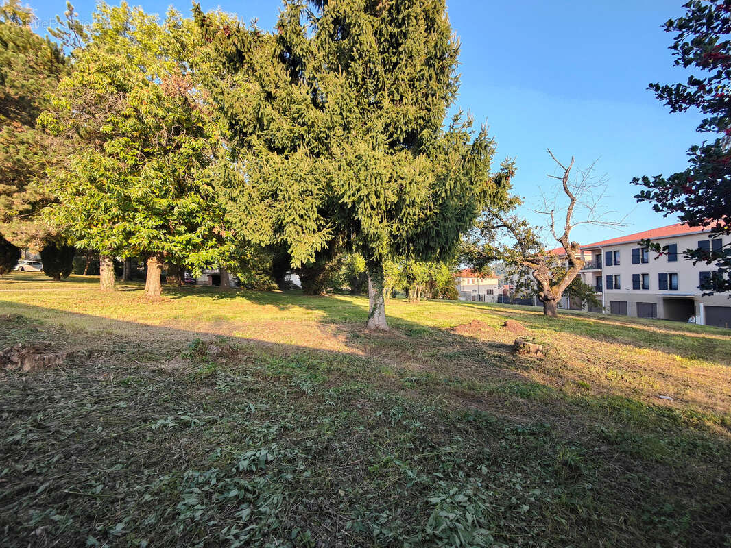 Terrain à LES COTES-D'AREY