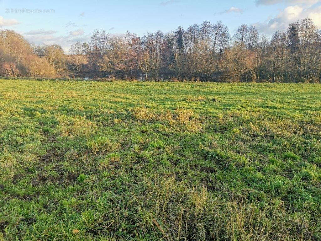 Terrain à SAINTE-CECILE