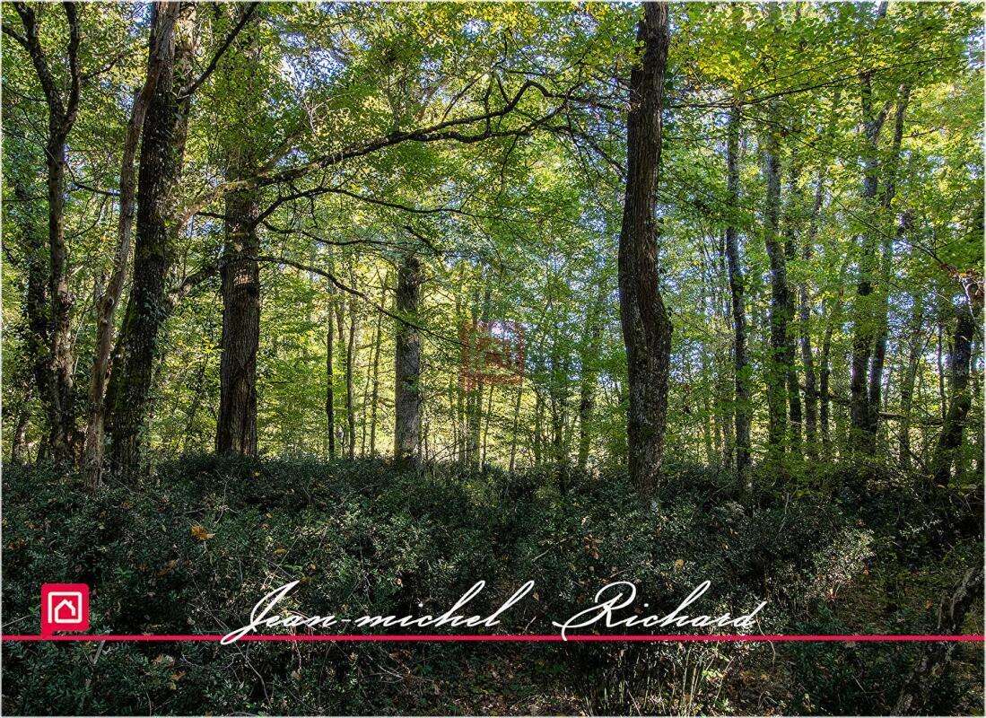 Propriété de chasse Sologne 42 hectares - photo 9