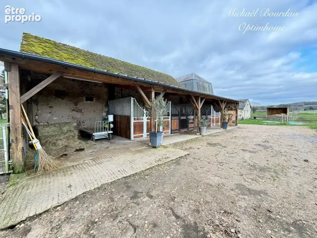 Maison de Maître XIXe – 220 m² – 1,6 ha – Dépendances & Installations Équestres – Environnement Préservé - photo 9