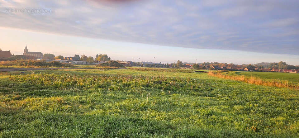 Terrain à MONTIGNY-EN-OSTREVENT