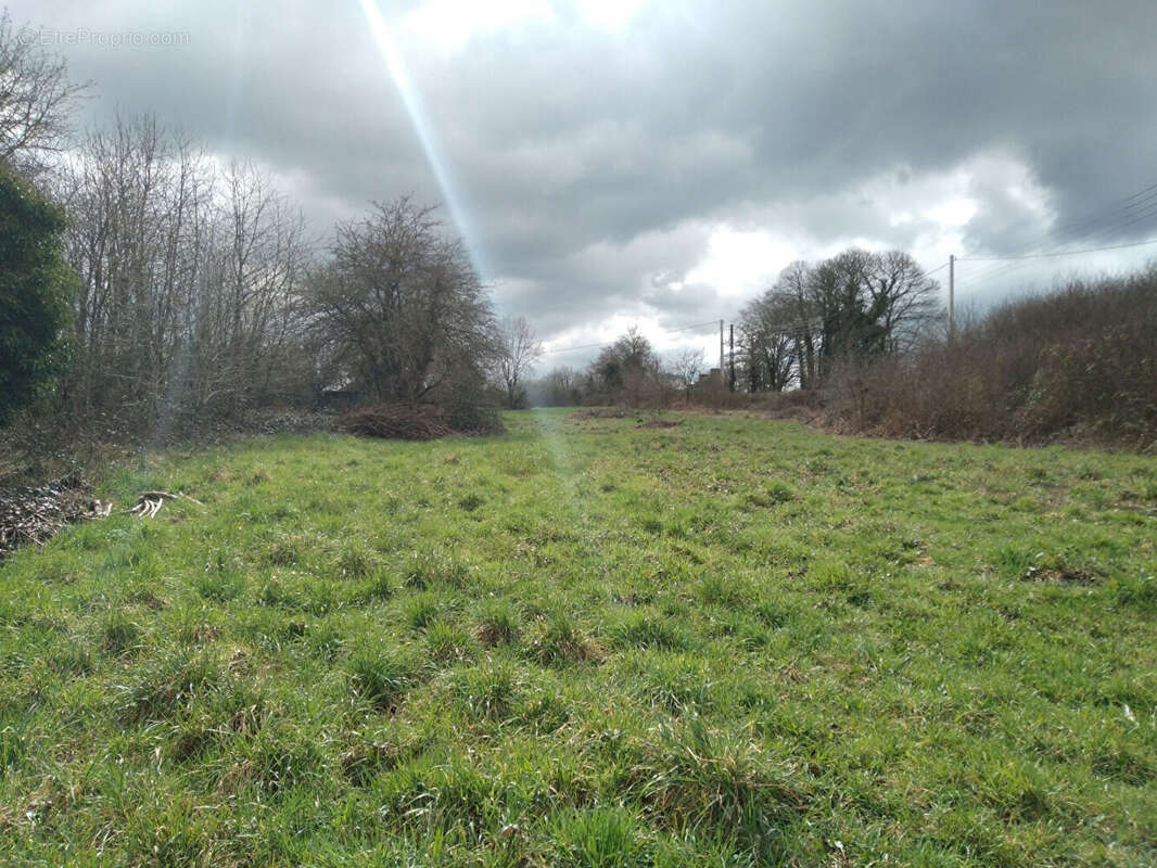 Maison à LE TRONCHET