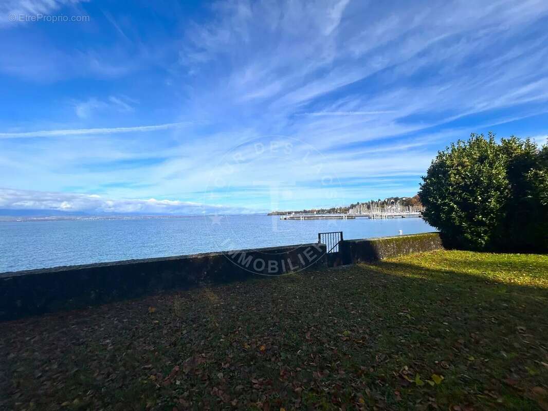A vendre, Thonon-les-Bains, Superbe terrain pieds dans l'eau avec chalet a rénover ou avec projet de construction - photo 3