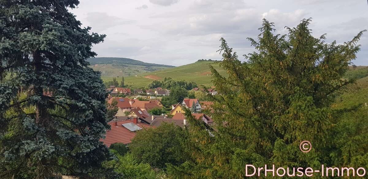 Maison à BERGHOLTZZELL