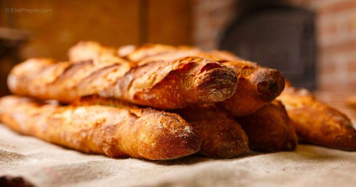 Commerce à MARSEILLE-13E