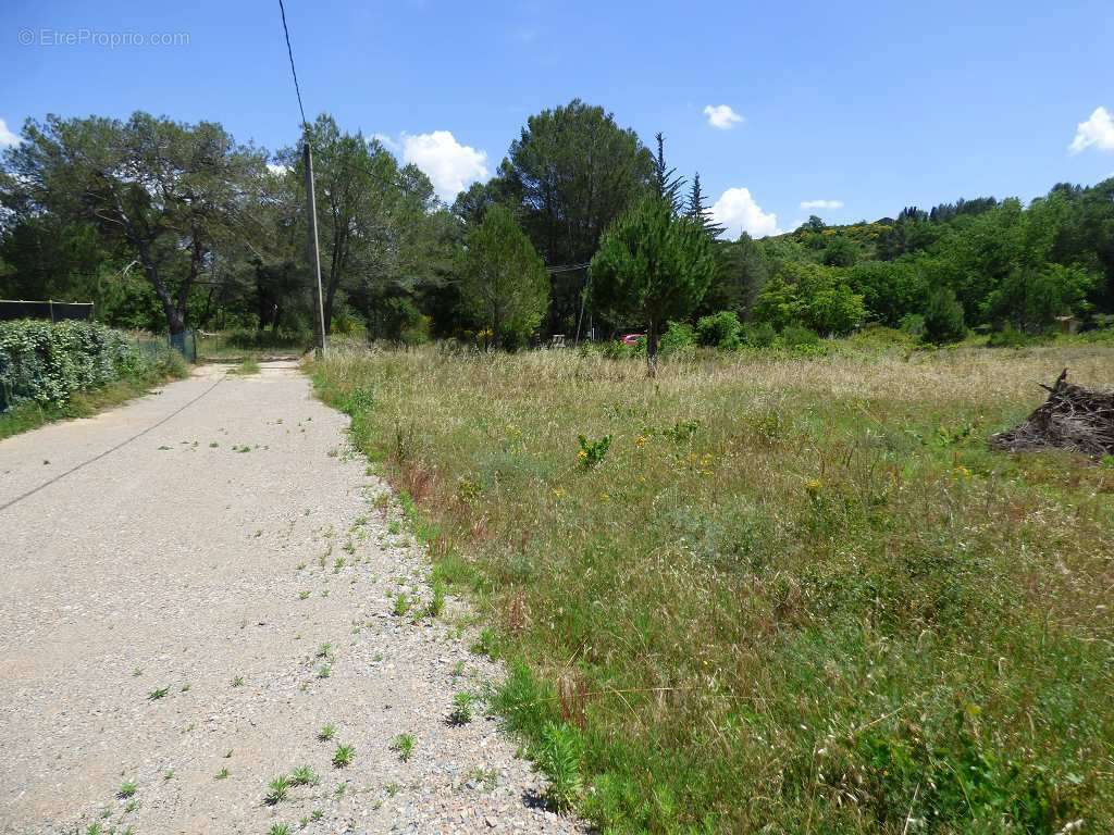 Terrain à CLERMONT-L&#039;HERAULT