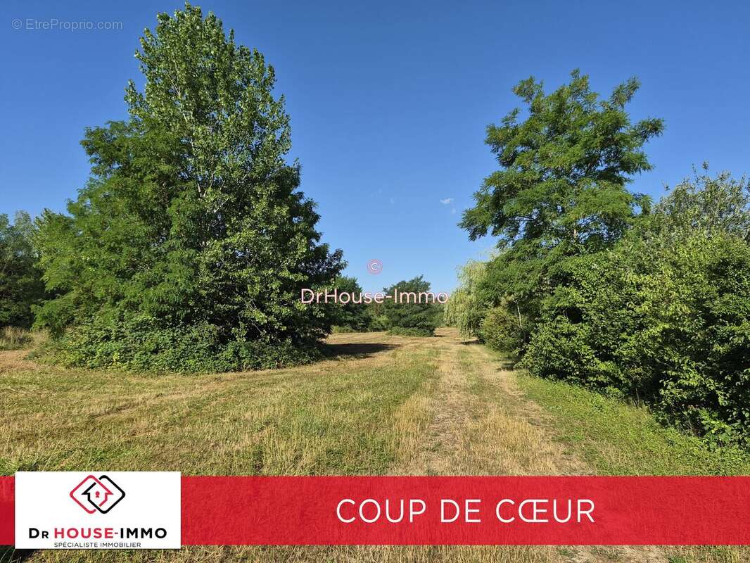 Terrain 23 052 m² à vendre à Chichery (89400) - photo 11