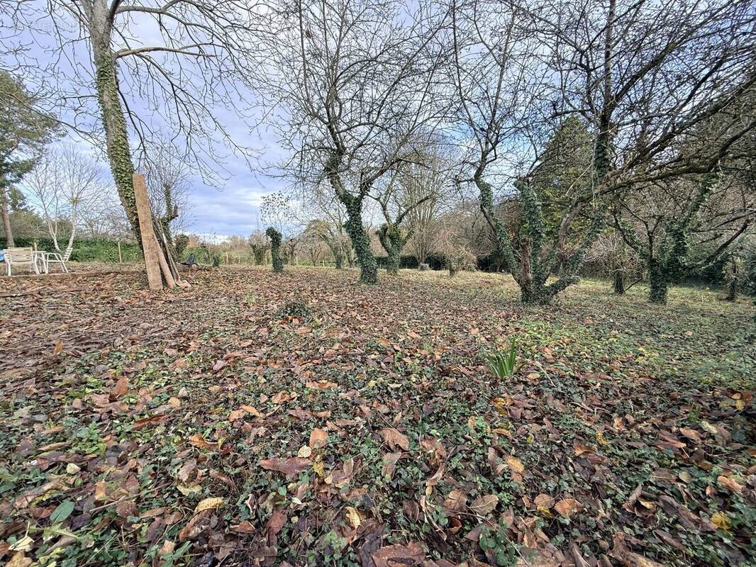 Terrain à MARIGNE-PEUTON