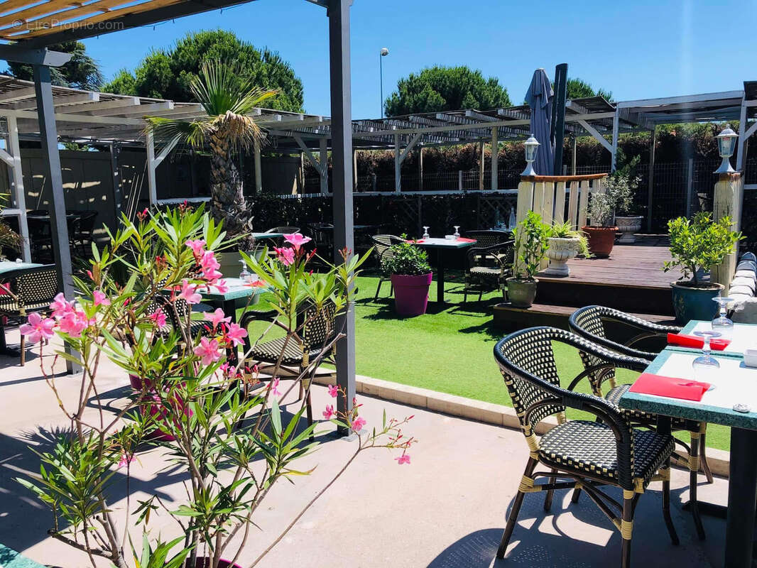 Commerce à SAINT-JEAN-DE-VEDAS