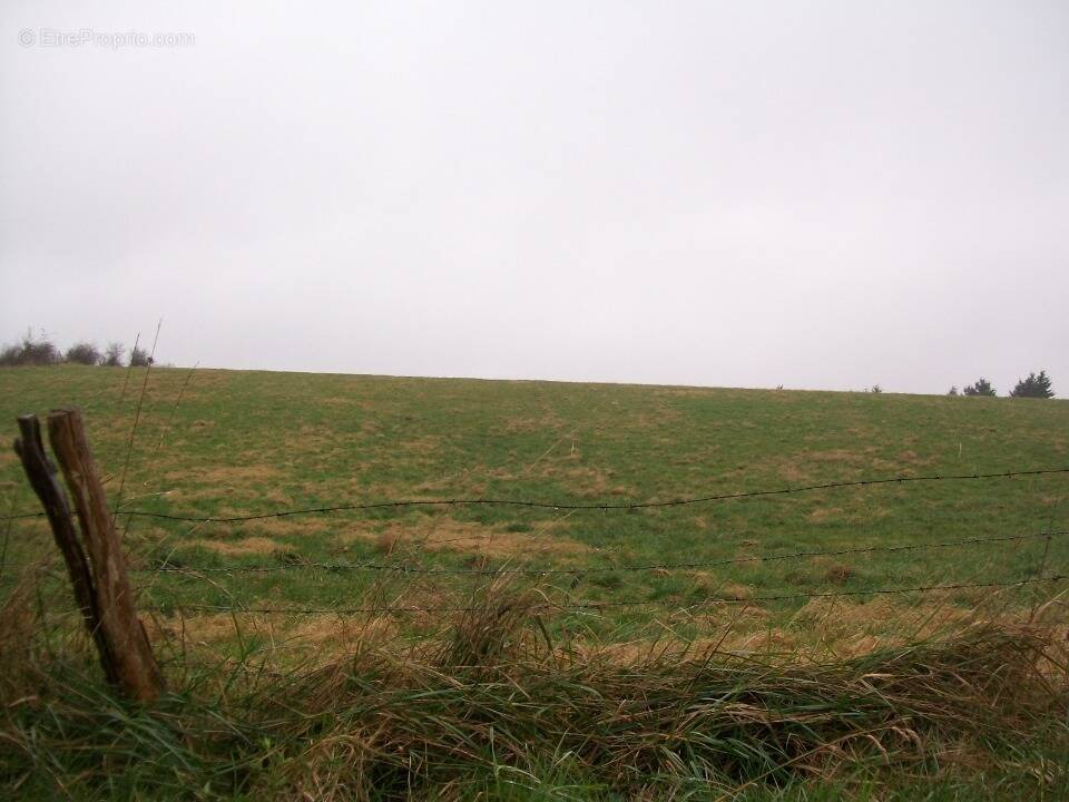 Terrain à PUISEUX-LE-HAUBERGER