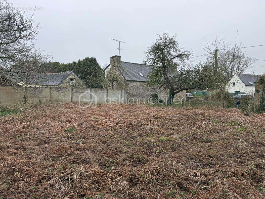 Terrain à TONQUEDEC