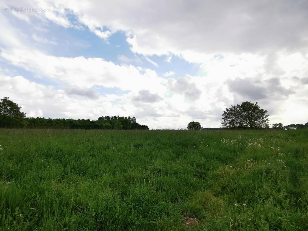 Terrain à LAGNICOURT-MARCEL