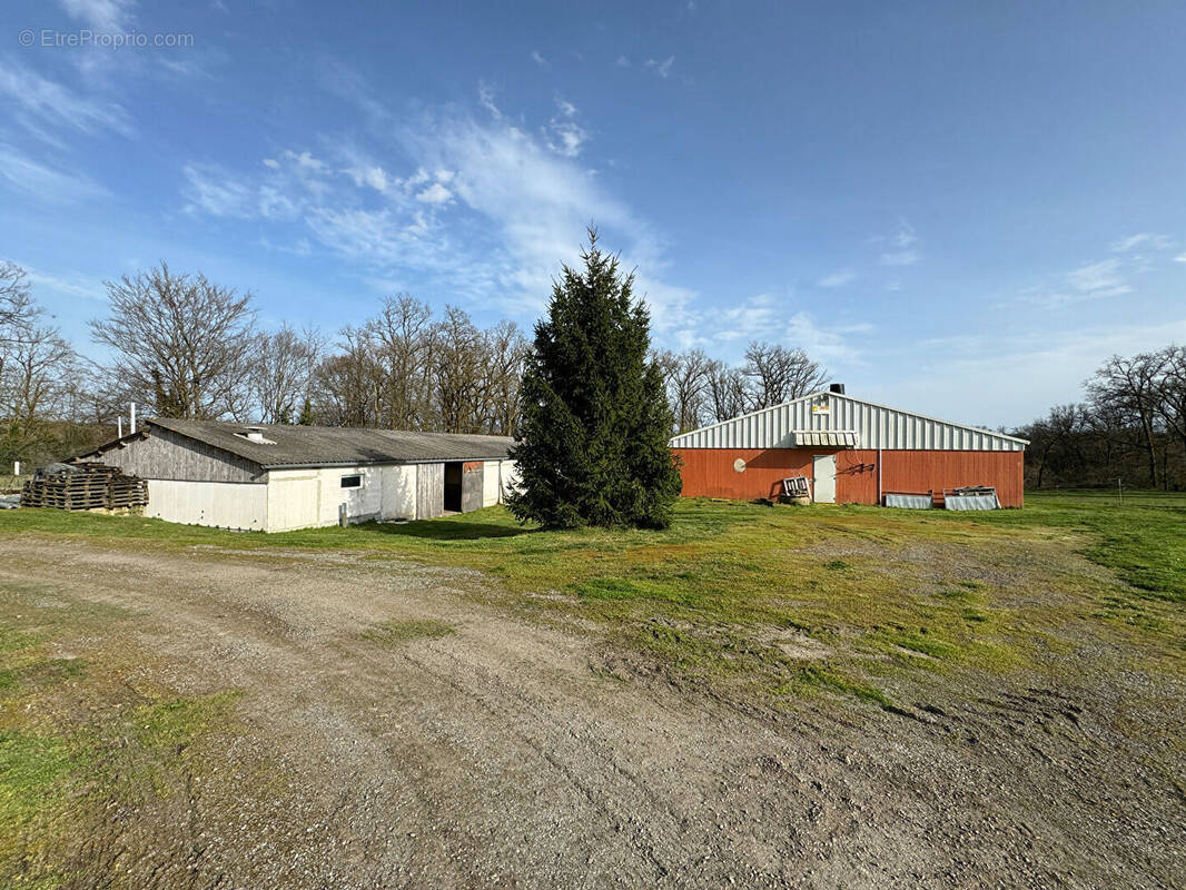 Commerce à MAZEIRAT