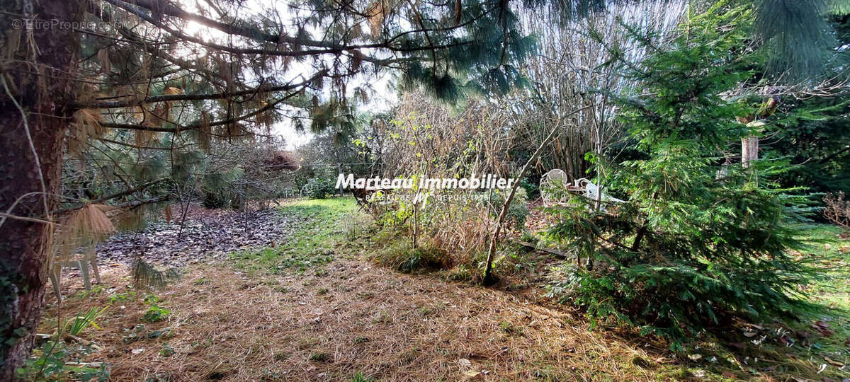 Maison à LE PLESSIS-DORIN