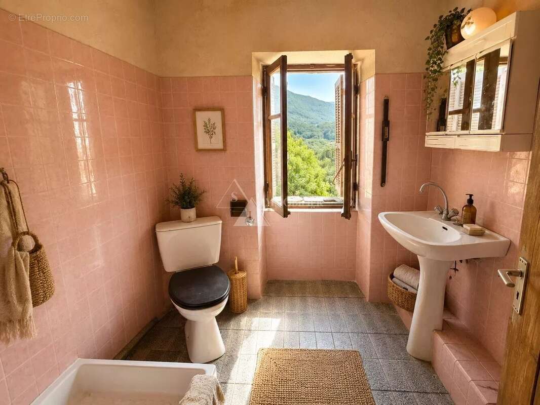 Maison de village a renover - toiture neuve - zoza - photo 3