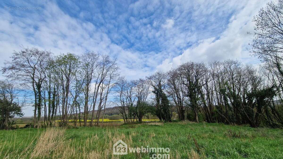 Terrain 2996 m² à Chamouille  - photo 5
