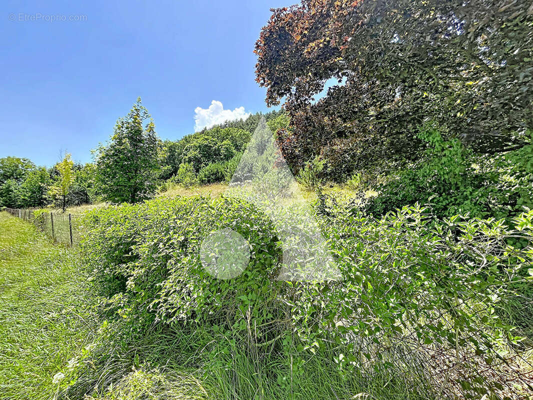 Terrain constructible de 1 463 m² à La Freissinouse - photo 3