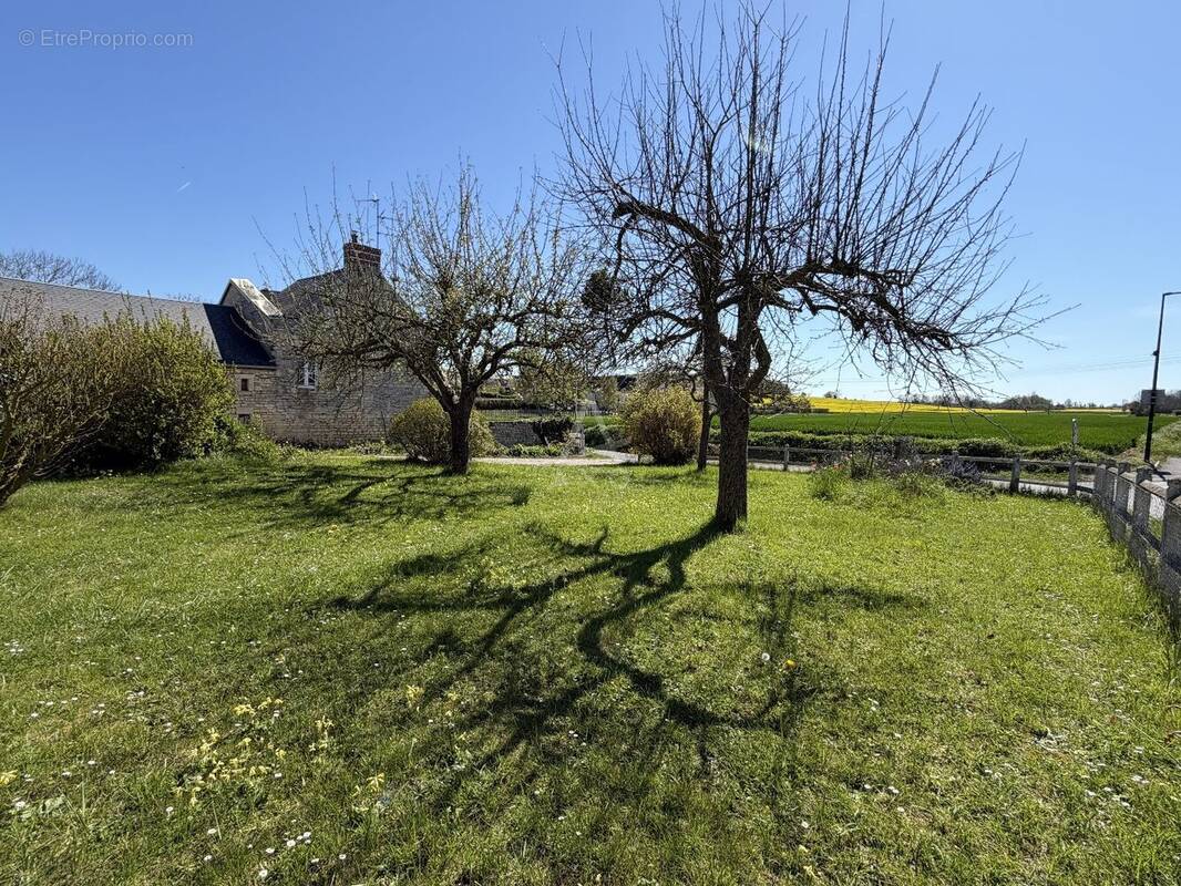 Terrain à SAINT-MANVIEU-NORREY