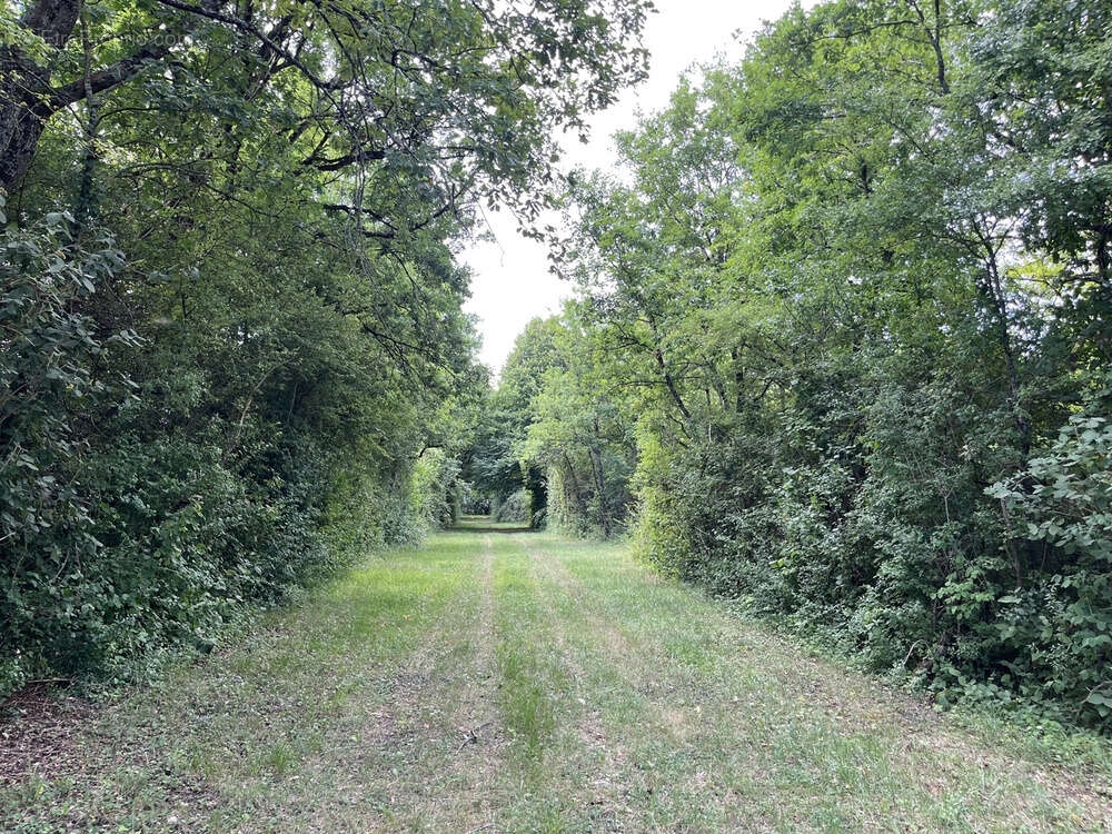 Terrain à PRESSIGNY-LES-PINS