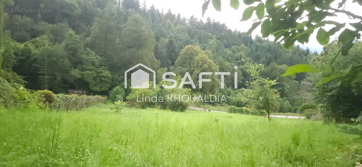 Photo 1 - Terrain à SOLBACH