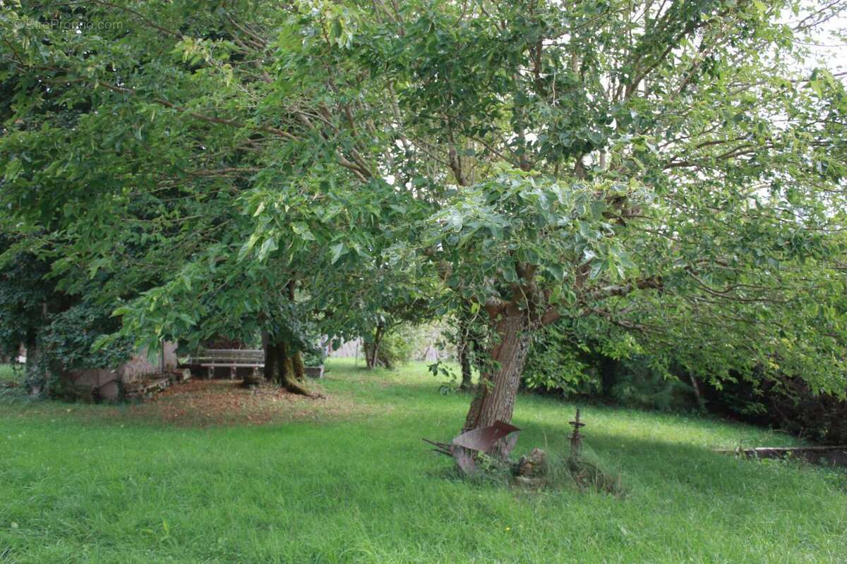 Maison à LE FOUSSERET