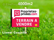 Terrain à RABASTENS