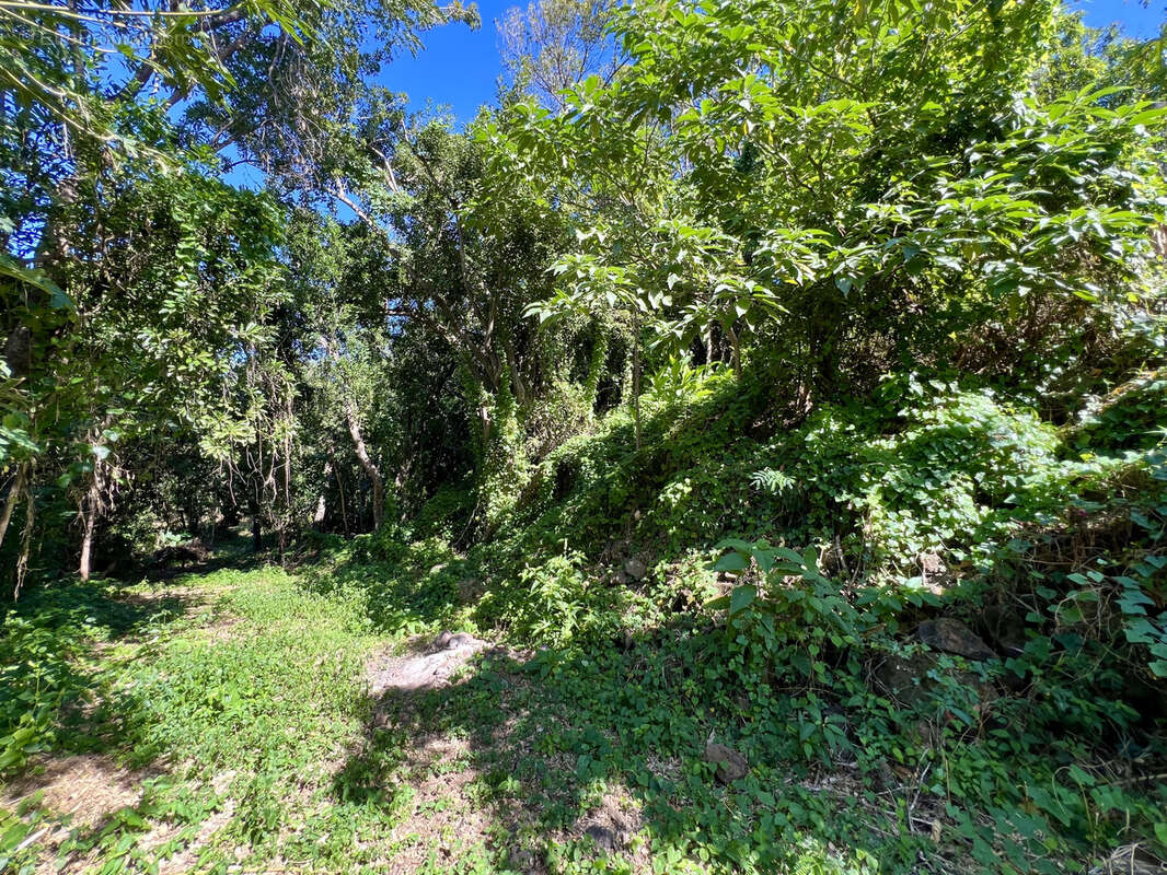 Maison à SAINT-JOSEPH