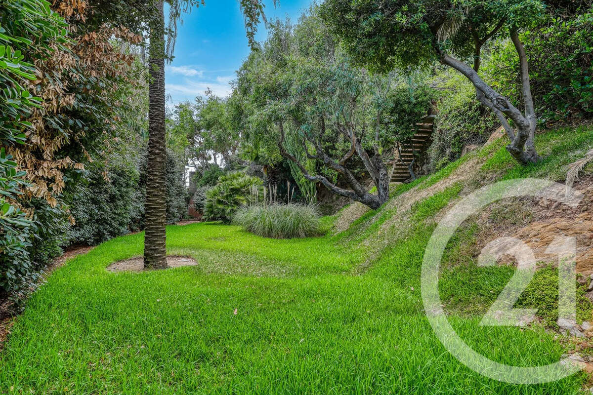 Maison 179 m² à Le Lavandou  - photo 15
