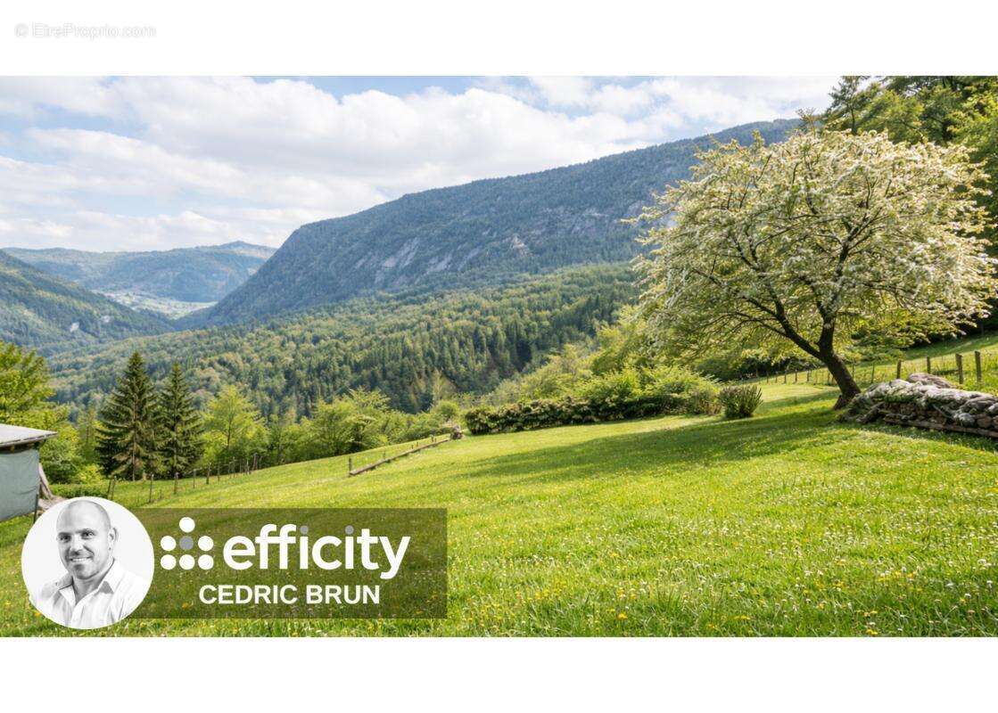 Terrain à MONT-SAXONNEX