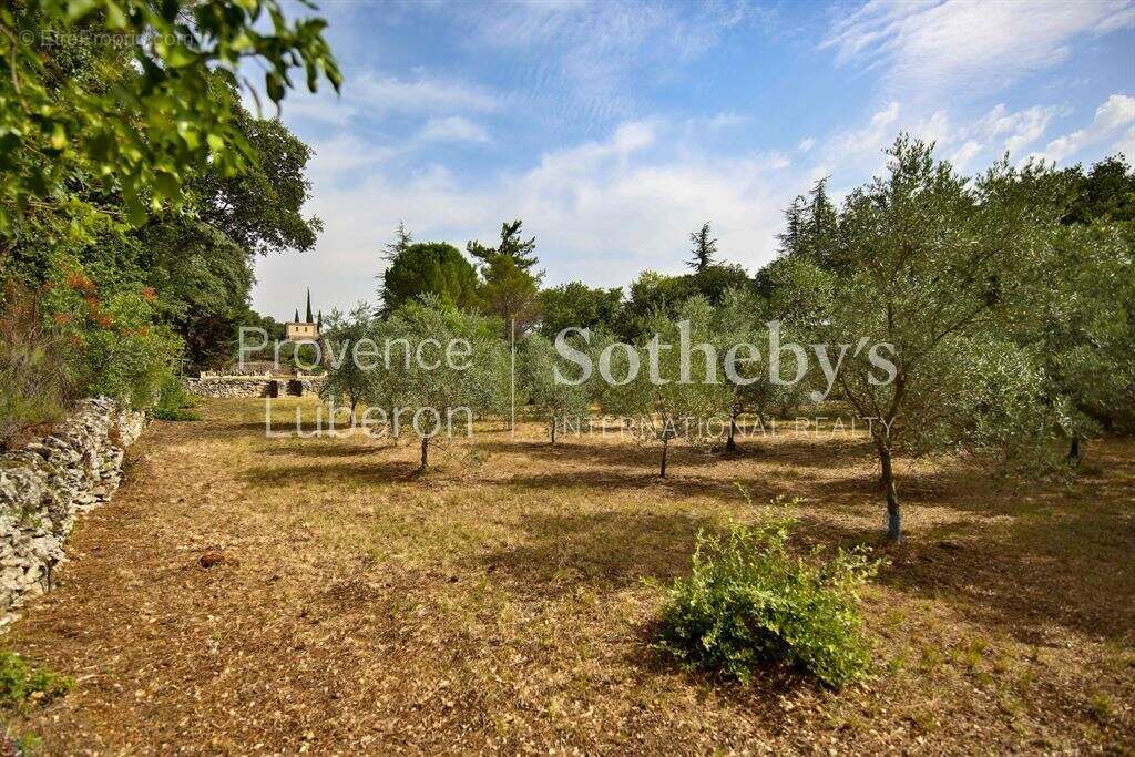 Terrain constructible d’exception à Gordes - photo 2
