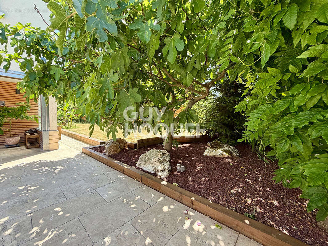 Maison  5 pièce(s) 160 m2 sur un terrain de 484m² à Veneux-les-Sablons - photo 2