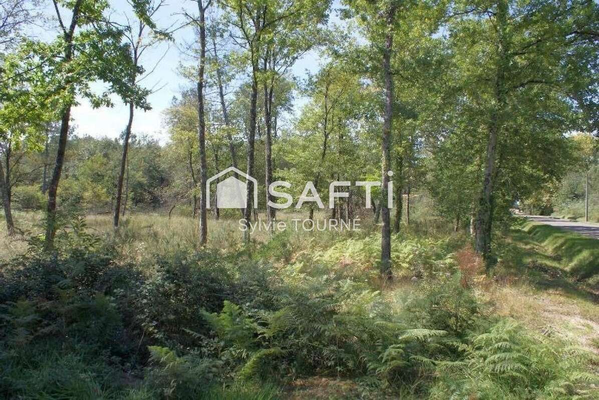 Photo 3 - Maison à GABARRET