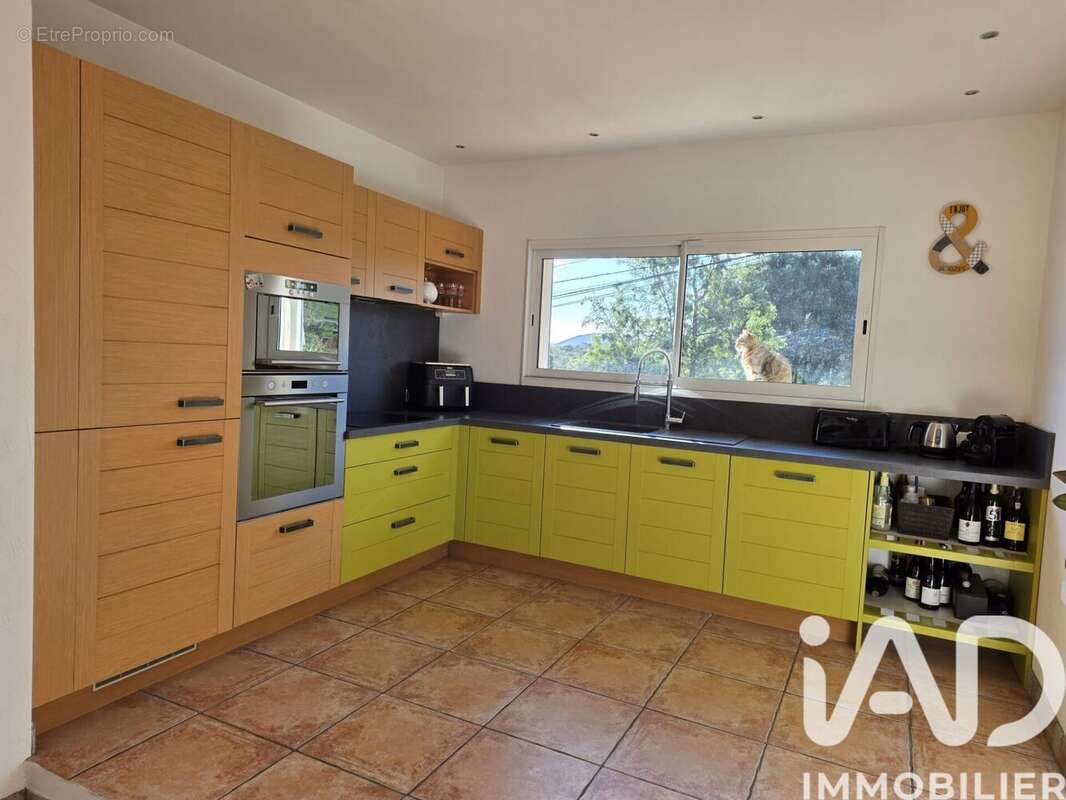 Photo 6 - Maison à ZONZA