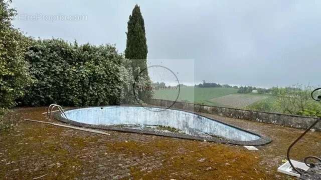 Complexe touristique petite ferme propriété bio - photo 25
