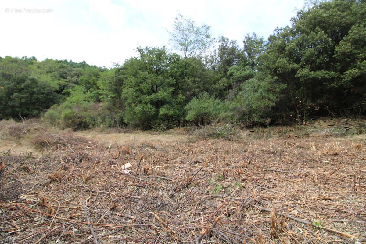 Terrain à LES PLANTIERS