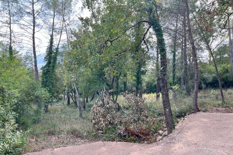Terrain à TOURRETTES