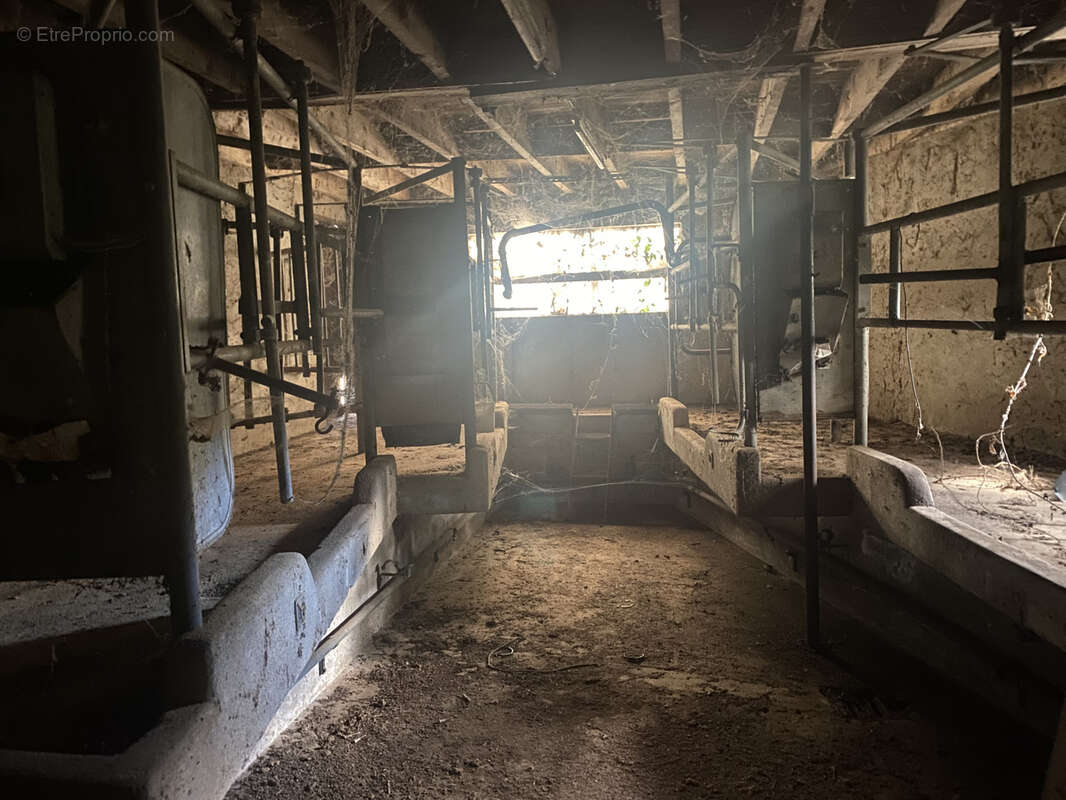 Terrain à SAINT-JUST-SAINT-RAMBERT