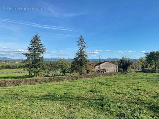 Terrain à SAINT-BONNET-DE-CRAY