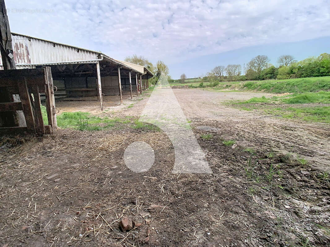 Commerce à NOYELLES-SOUS-BELLONNE