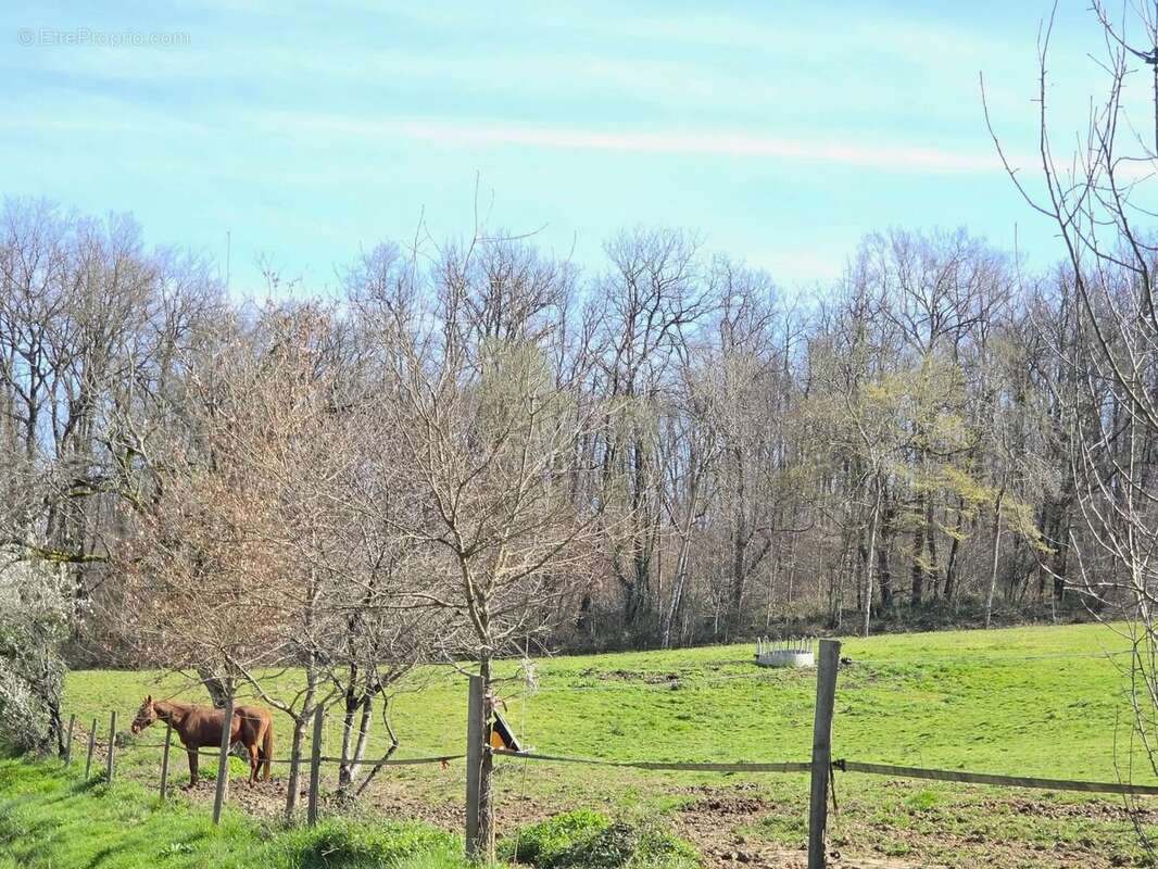 Maison à LISLE-SUR-TARN