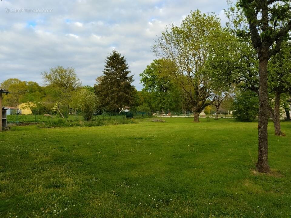 Terrain à VERNEUIL-SUR-VIENNE