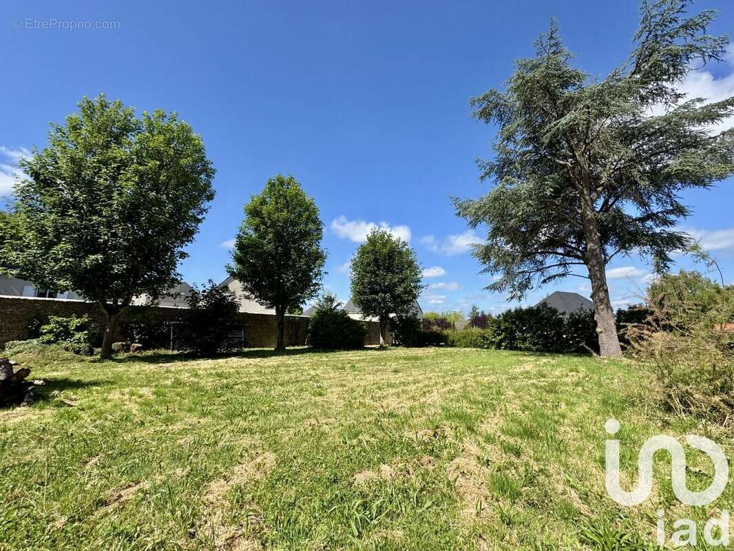 Photo 7 - Terrain à NOISY-LE-ROI