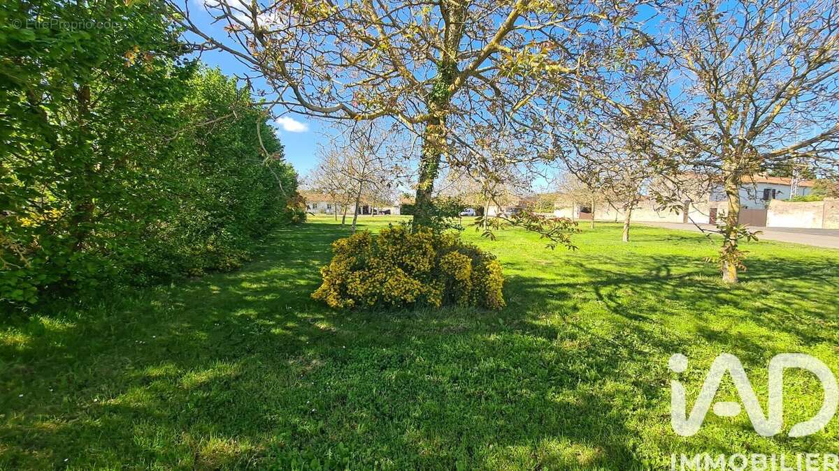 Photo 5 - Terrain à MASSOGNES