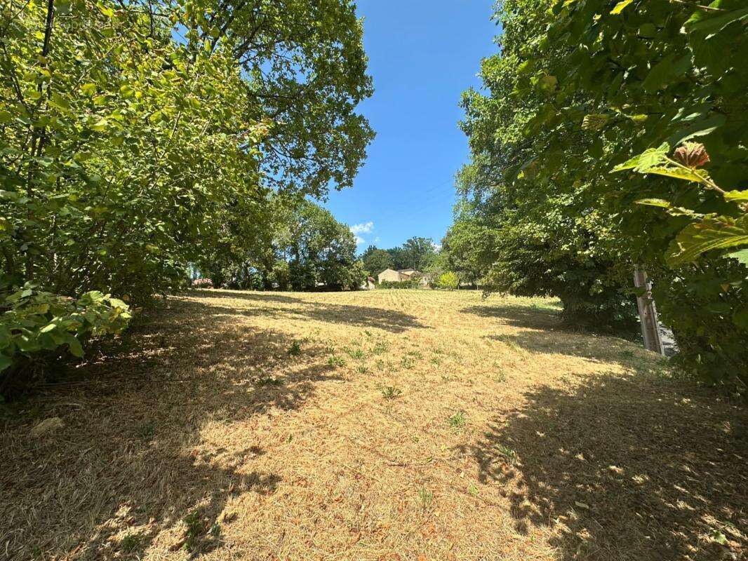 Terrain 3855 m² à Sarlat-La-Caneda  - photo 2