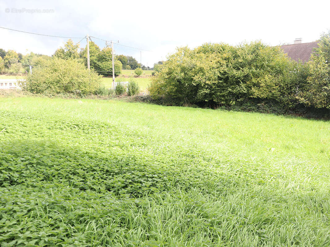 Maison à SAINT-BARTHELEMY